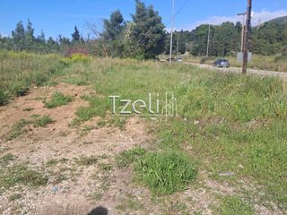Αγροτεμάχια 3.651 τ.μ. για πώληση, Αχαΐα, Μεσσατίδα-thumb-16