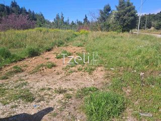Αγροτεμάχια 3.651 τ.μ. για πώληση, Αχαΐα, Μεσσατίδα-thumb-6