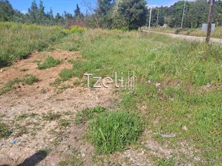 Αγροτεμάχια 3.651 τ.μ. για πώληση, Αχαΐα, Μεσσατίδα-thumb-20