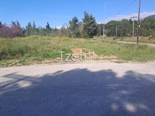 Αγροτεμάχια 3.651 τ.μ. για πώληση, Αχαΐα, Μεσσατίδα-thumb-11