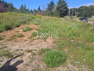 Αγροτεμάχια 3.651 τ.μ. για πώληση, Αχαΐα, Μεσσατίδα-thumb-15