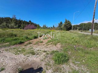 Αγροτεμάχια 3.651 τ.μ. για πώληση, Αχαΐα, Μεσσατίδα-thumb-2
