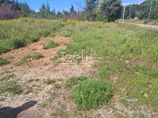 Αγροτεμάχια 3.651 τ.μ. για πώληση, Αχαΐα, Μεσσατίδα-thumb-8