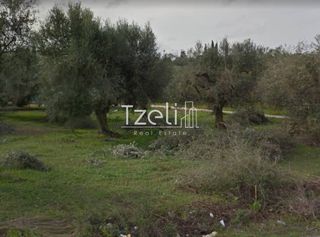 Αγροτεμάχια 6.240 τ.μ. για πώληση