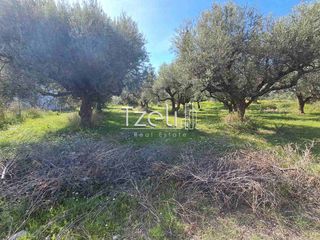 Οικόπεδο 1.264 τ.μ. για πώληση, Αχαΐα, Μεσσατίδα-thumb-14
