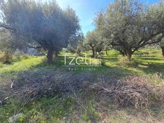 Οικόπεδο 1.264 τ.μ. για πώληση, Αχαΐα, Μεσσατίδα-thumb-17
