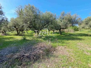 Οικόπεδο 1.264 τ.μ. για πώληση, Αχαΐα, Μεσσατίδα-thumb-7