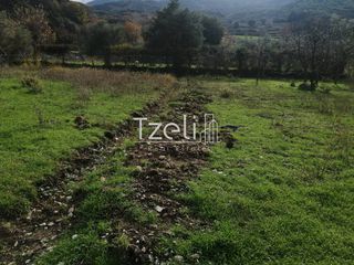 Οικόπεδο 22.000 τ.μ. για πώληση