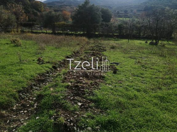 Land plot 22.000 sqm for sale, Achaia, Aigio