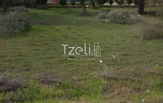 Οικόπεδο 9.800 τ.μ. για πώληση, Αχαΐα, Μεσσατίδα-thumb-3