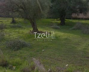 Οικόπεδο 9.800 τ.μ. για πώληση