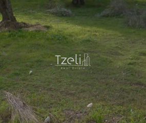 Οικόπεδο 9.800 τ.μ. για πώληση, Αχαΐα, Μεσσατίδα-thumb-1