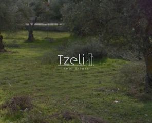 Οικόπεδο 9.800 τ.μ. για πώληση, Αχαΐα, Μεσσατίδα-thumb-2