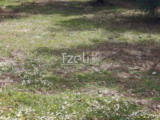 Οικόπεδο 7.588 τ.μ. για πώληση, Αχαΐα, Μεσσατίδα-thumb-1