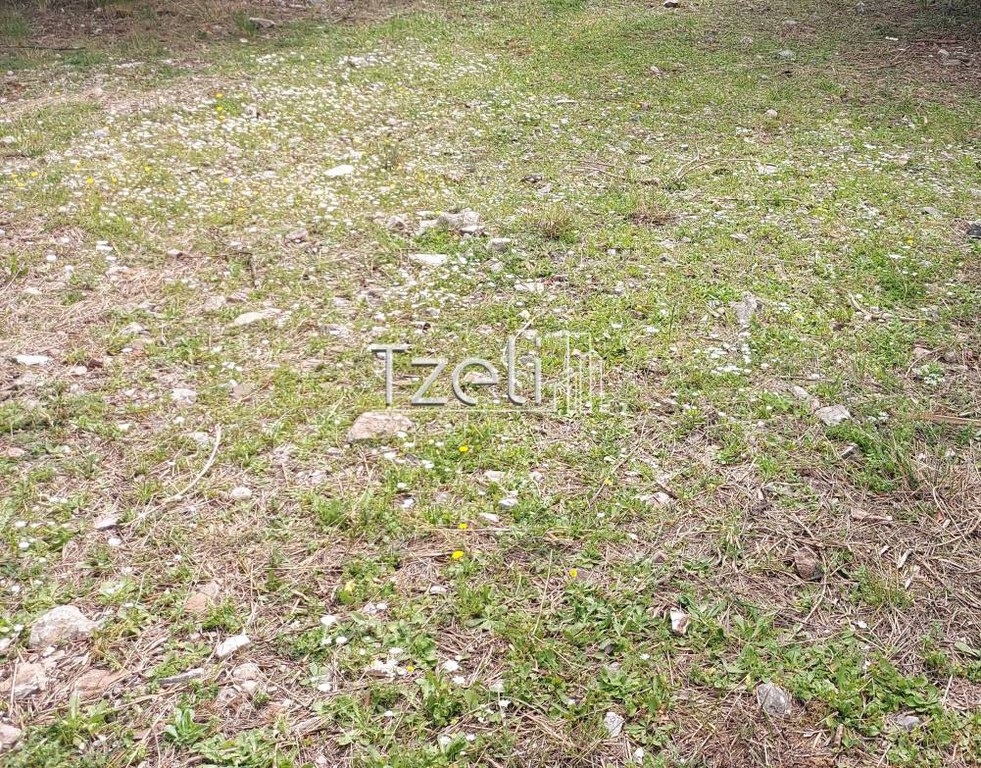 Οικόπεδο 7.588 τ.μ. για πώληση, Αχαΐα, Μεσσατίδα
