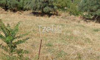 Οικόπεδο 3.578 τ.μ. για πώληση, Αχαΐα, Μεσσατίδα-thumb-4