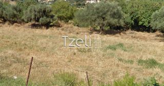 Οικόπεδο 3.578 τ.μ. για πώληση, Αχαΐα, Μεσσατίδα-thumb-1