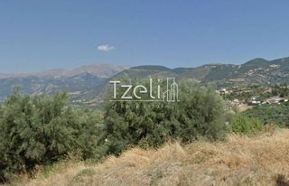 Οικόπεδο 3.578 τ.μ. για πώληση, Αχαΐα, Μεσσατίδα-thumb-3