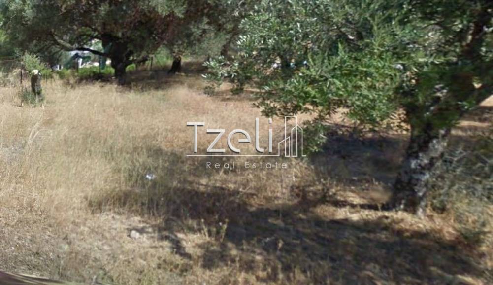 Οικόπεδο 3.578 τ.μ. για πώληση, Αχαΐα, Μεσσατίδα