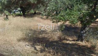 Οικόπεδο 3.578 τ.μ. για πώληση