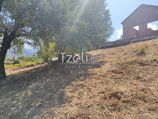Οικόπεδο 4.052 τ.μ. για πώληση, Αχαΐα, Μεσσατίδα-thumb-18