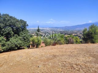 Οικόπεδο 4.052 τ.μ. για πώληση, Αχαΐα, Μεσσατίδα-thumb-25
