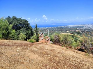 Οικόπεδο 4.052 τ.μ. για πώληση, Αχαΐα, Μεσσατίδα-thumb-15
