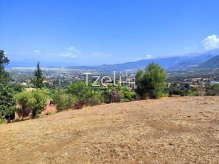 Οικόπεδο 4.052 τ.μ. για πώληση, Αχαΐα, Μεσσατίδα-thumb-3