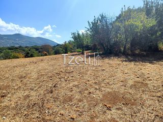 Οικόπεδο 4.052 τ.μ. για πώληση, Αχαΐα, Μεσσατίδα-thumb-9