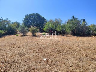 Οικόπεδο 4.052 τ.μ. για πώληση, Αχαΐα, Μεσσατίδα-thumb-11