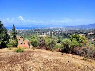 Οικόπεδο 4.052 τ.μ. για πώληση, Αχαΐα, Μεσσατίδα-thumb-17