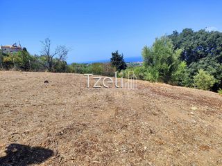Οικόπεδο 4.052 τ.μ. για πώληση, Αχαΐα, Μεσσατίδα-thumb-13