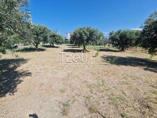 Οικόπεδο 1.000 τ.μ. για πώληση