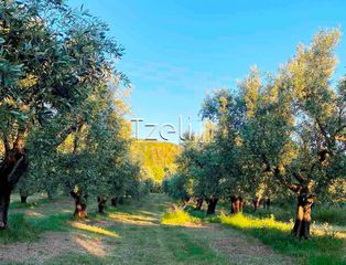 Οικόπεδο 10.044 τ.μ. για πώληση