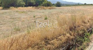Αγροτεμάχια 5.366 τ.μ. για πώληση