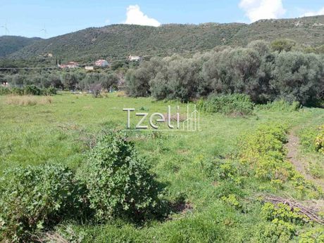 Οικόπεδο 5.500 τ.μ. για πώληση