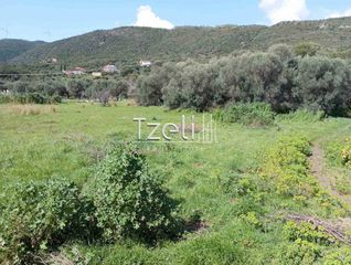 Οικόπεδο 5.500 τ.μ. για πώληση