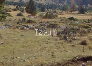 Αγροτεμάχια 20.000 τ.μ. για πώληση