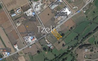 Αγροτεμάχια 2.000 τ.μ. για πώληση