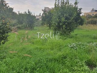 Αγροτεμάχια 3.900 τ.μ. για πώληση, Θεσπρωτία, Πέρδικα-thumb-10