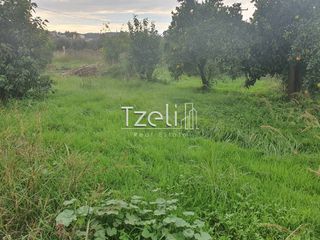 Αγροτεμάχια 3.900 τ.μ. για πώληση, Θεσπρωτία, Πέρδικα-thumb-16