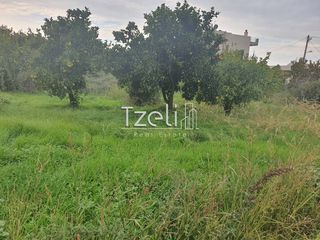Αγροτεμάχια 3.900 τ.μ. για πώληση, Θεσπρωτία, Πέρδικα-thumb-9