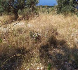 Οικόπεδο 2.000 τ.μ. για πώληση, Ν. Λευκάδας, Λευκάδα-thumb-24