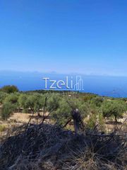 Οικόπεδο 2.000 τ.μ. για πώληση, Ν. Λευκάδας, Λευκάδα-thumb-3
