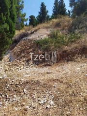Οικόπεδο 2.000 τ.μ. για πώληση, Ν. Λευκάδας, Λευκάδα-thumb-8