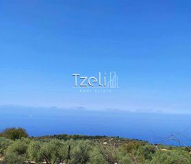 Οικόπεδο 2.000 τ.μ. για πώληση, Ν. Λευκάδας, Λευκάδα-thumb-17