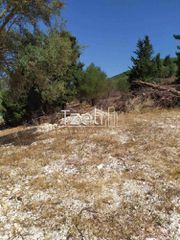 Οικόπεδο 2.000 τ.μ. για πώληση, Ν. Λευκάδας, Λευκάδα-thumb-4