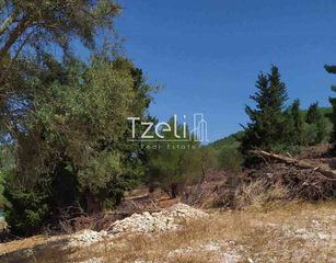 Οικόπεδο 2.000 τ.μ. για πώληση, Ν. Λευκάδας, Λευκάδα-thumb-20