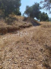 Οικόπεδο 2.000 τ.μ. για πώληση, Ν. Λευκάδας, Λευκάδα-thumb-1