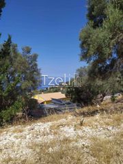 Οικόπεδο 2.000 τ.μ. για πώληση, Ν. Λευκάδας, Λευκάδα-thumb-16